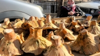 Tavşanlı Pazarında Mantar Sezonu Hareketlendi: Melki ve Dedebölük Mantarları Rağbet Görüyor