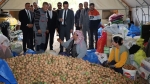 Afyon Dinar’da ceviz hasadı başladı