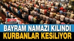 Bayram namazları kılındı, kurbanlar kesiliyor