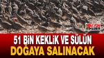 51 Bin Keklik Ve Sülün Doğaya Salınacak