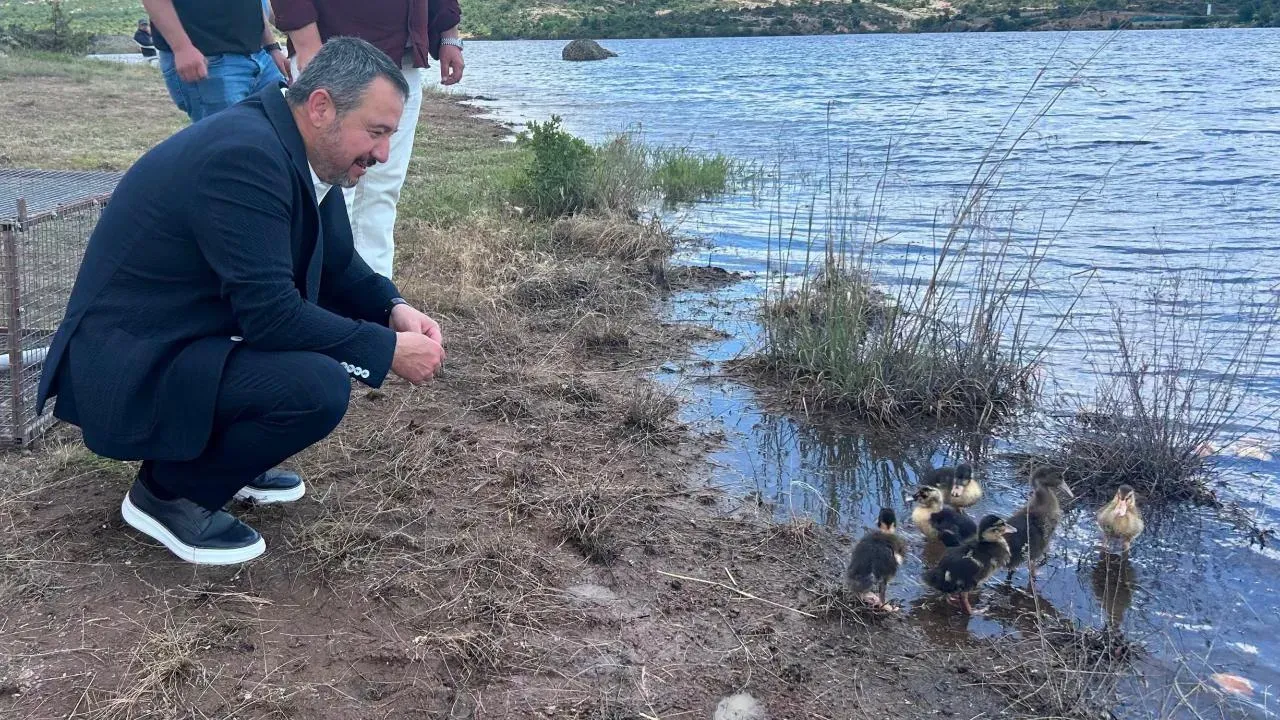 Başkan Öztaş Frigya’daki Ördek Salımına Katıldı