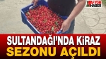 Sultandağı’nda Kiraz Sezonu Açıldı
