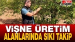 Vişne Üretim Alanlarında Sıkı Takip