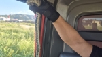 Afyon’da evde yılan paniği: Gören şok oldu!