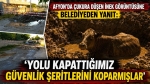 Afyon’da çukura düşen inek görüntüsüne belediyeden yanıt: “Yolu kapattığımız güvenlik şeritlerini koparmışlar”