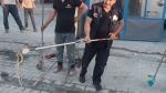 Afyon’da yılan paniği: Hareket halindeki aracın deposuna girdi