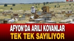 Afyon’da Arılı Kovanlar Tek Tek Sayılıyor