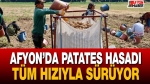 Afyon’da patates hasadı tüm hızıyla sürüyor