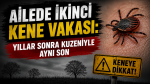 Ailede ikinci kene vakası: Yıllar sonra kuzeniyle aynı son