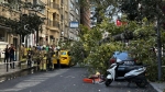 Şişli’de araçların üzerine ağaç devrildi