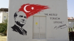 Şuhut’ta trafolar sanatla buluştu