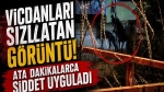 Vicdanları sızlatan görüntü! Ata dakikalarca şiddet uyguladı