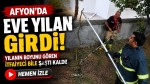 Afyon’da eve yılan girdi: Yılanın boyunu gören itfaiyeci bile şaştı kaldı!